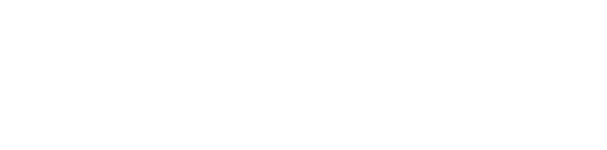 Payoneer