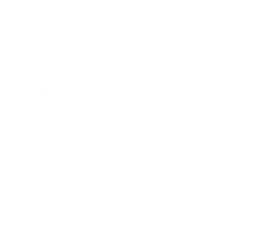 Revolut